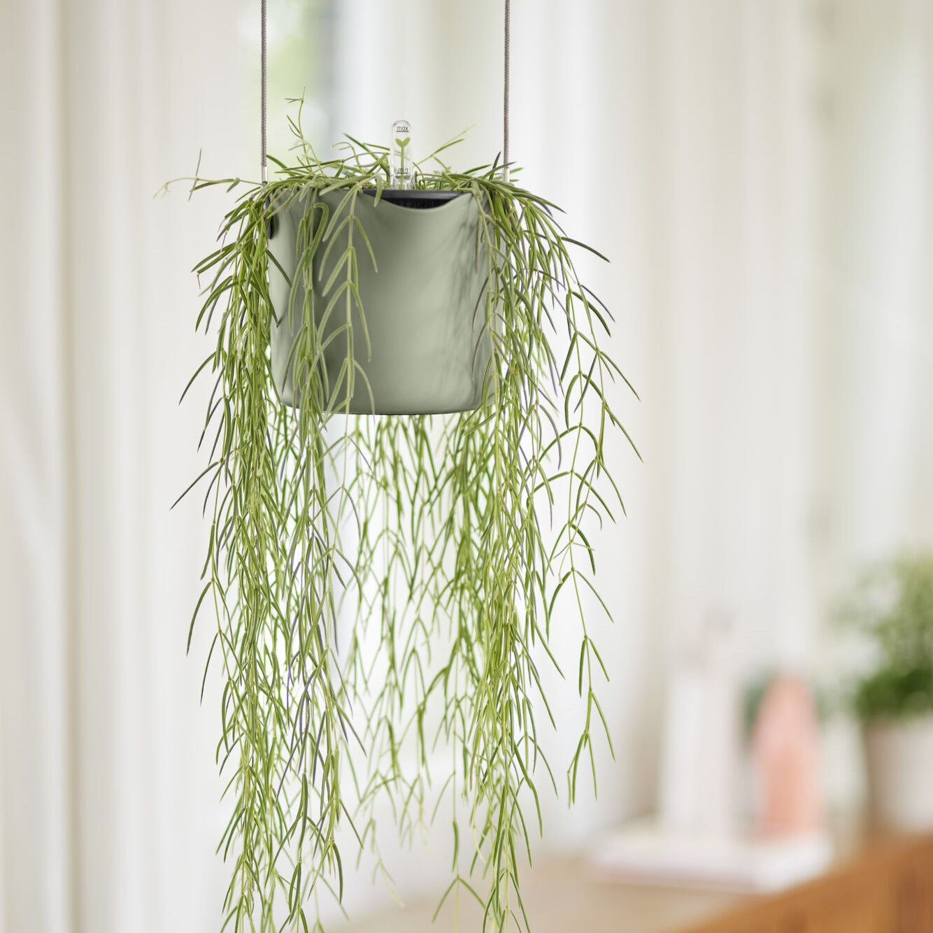 Bakker Suspension B for swing pot suspendu 18 cm vert