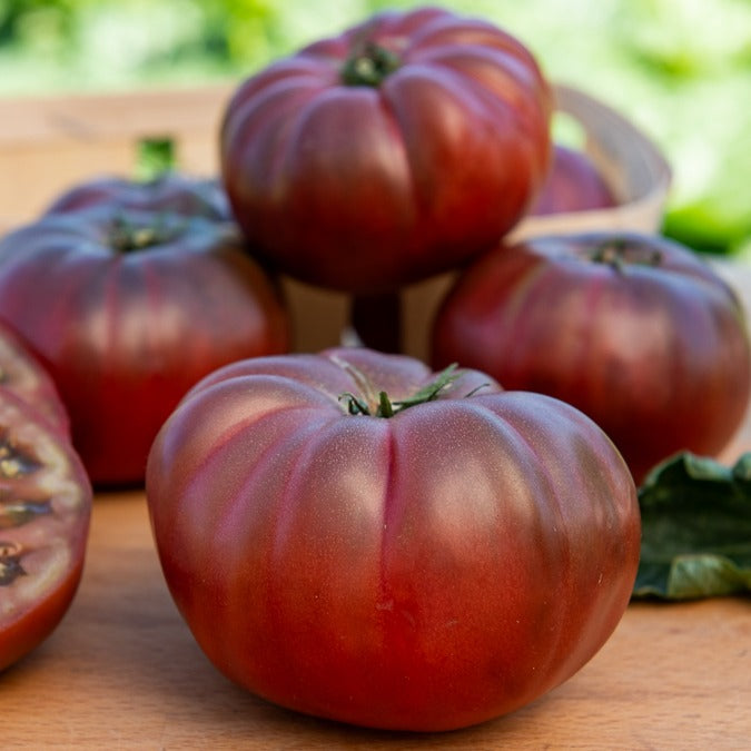 Bakker Tomate Noire de Crimée graines 0,1g fruits pourpres