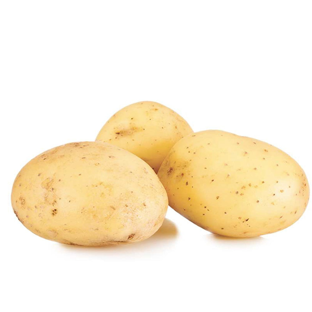 Bakker Pomme de terre Étincelle 25 plants fermes