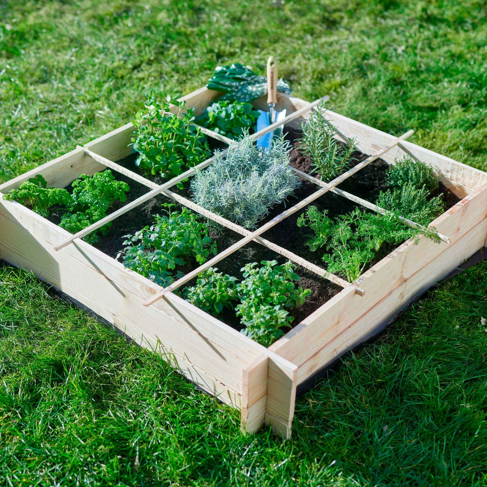 Bakker Carré potager bois de pin FSC 100x100x20 cm
