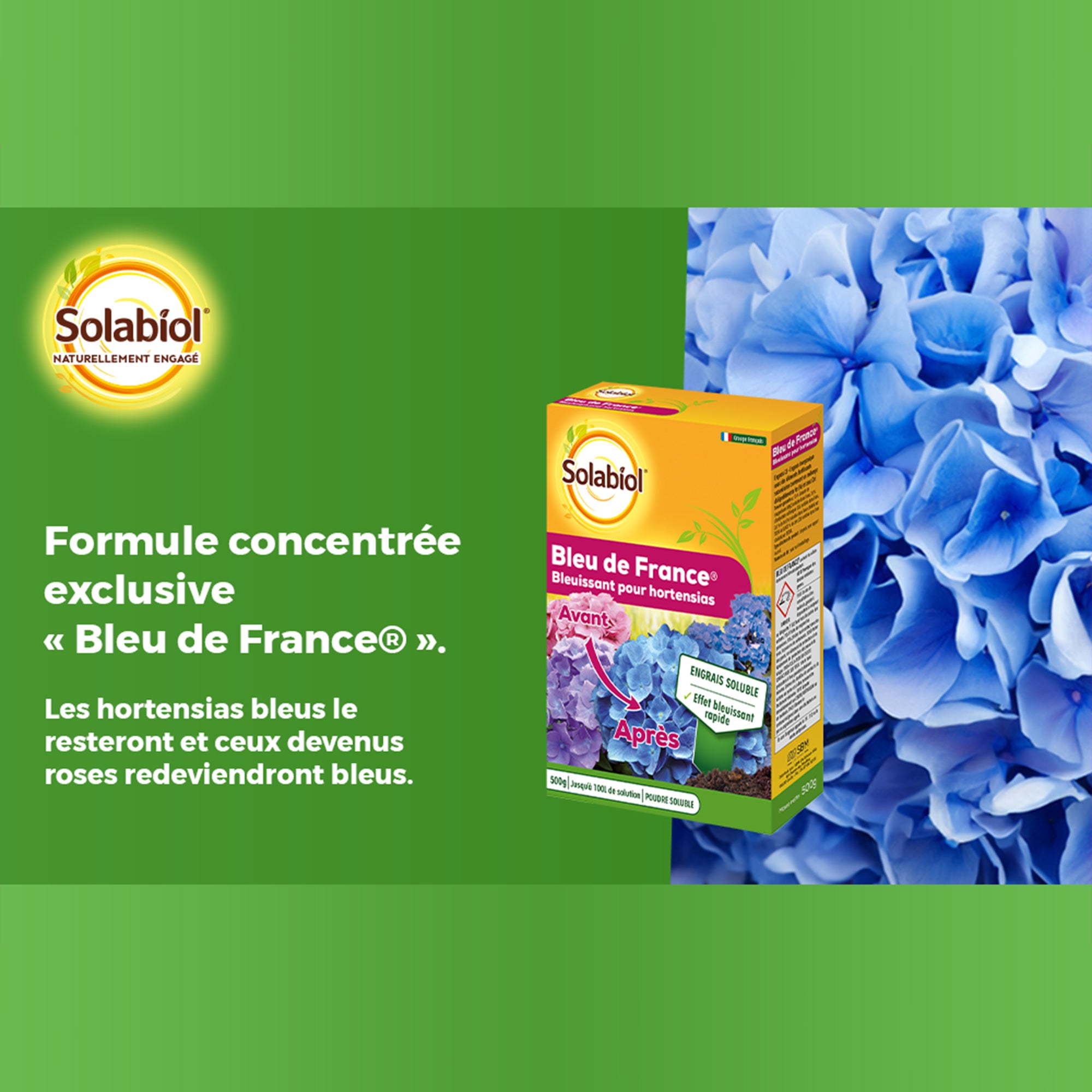 Bakker Bleu de France traitement plantes pièce jardin potager