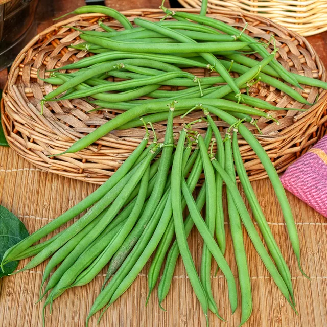 Bakker Castandel haricot nain mangetout sachet 100g sans fil