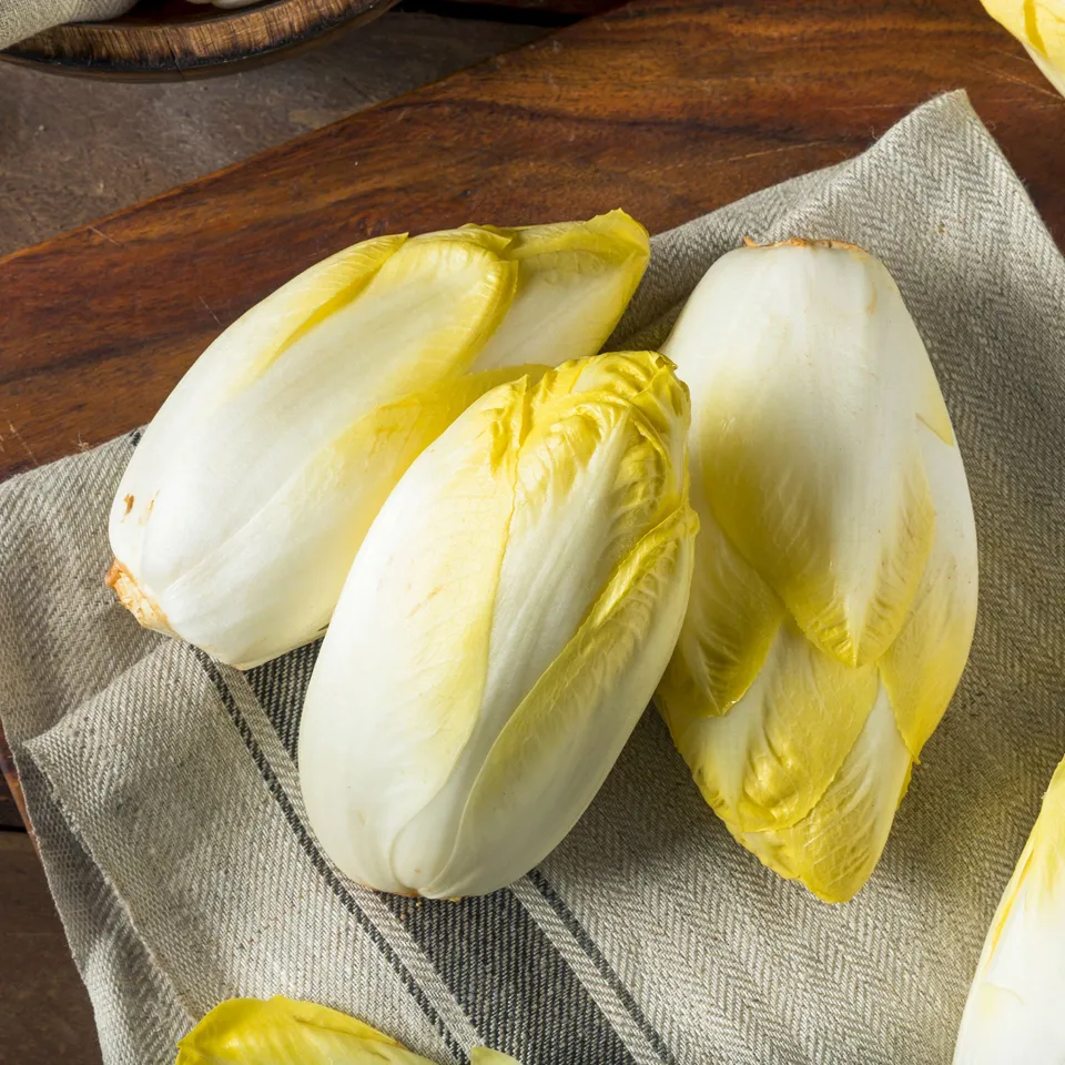 Bakker Chicorée Mechelse Middelvroeg Bio graines endive 0,5g