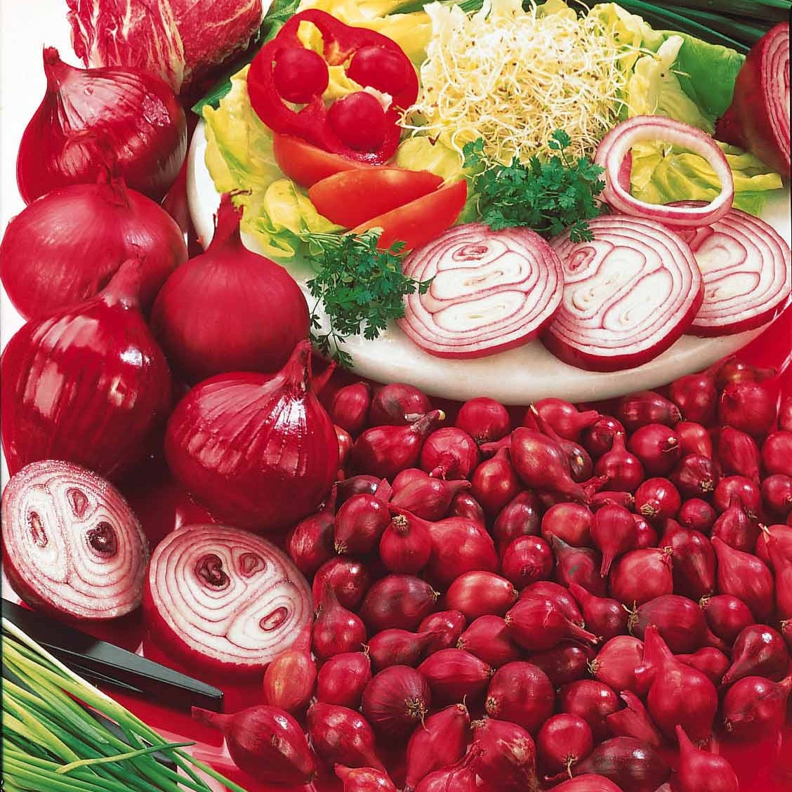Bakker Oignon Brunswick rouge bulbes sachet 500g doux