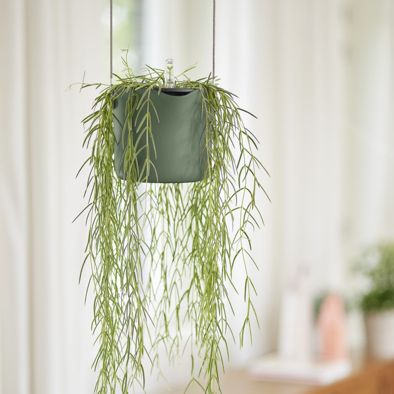 Elho B for Swing pot suspendu vert plastique Ø18cm