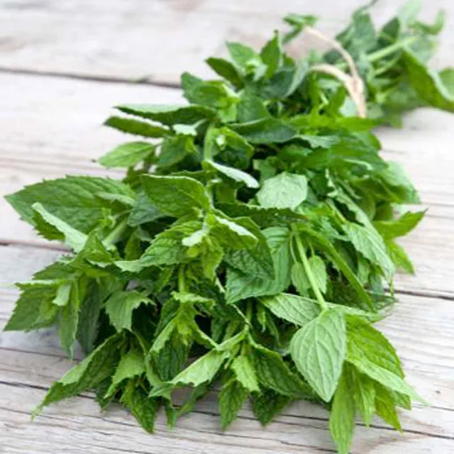 Bakker Menthe Crépue graines sachet 250 douce