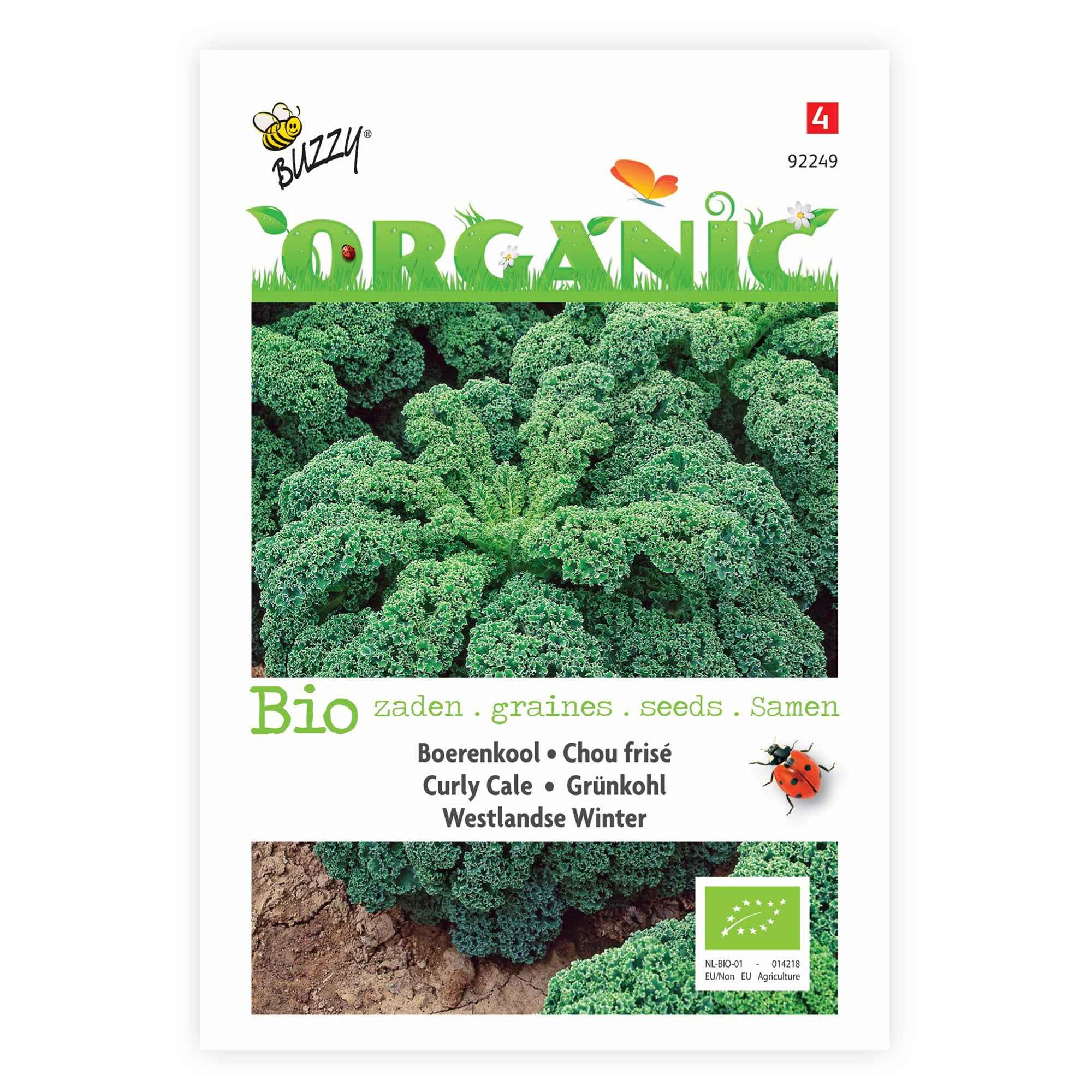Bakker Chou frisé Westlandse Winter graines sachet 0,7g