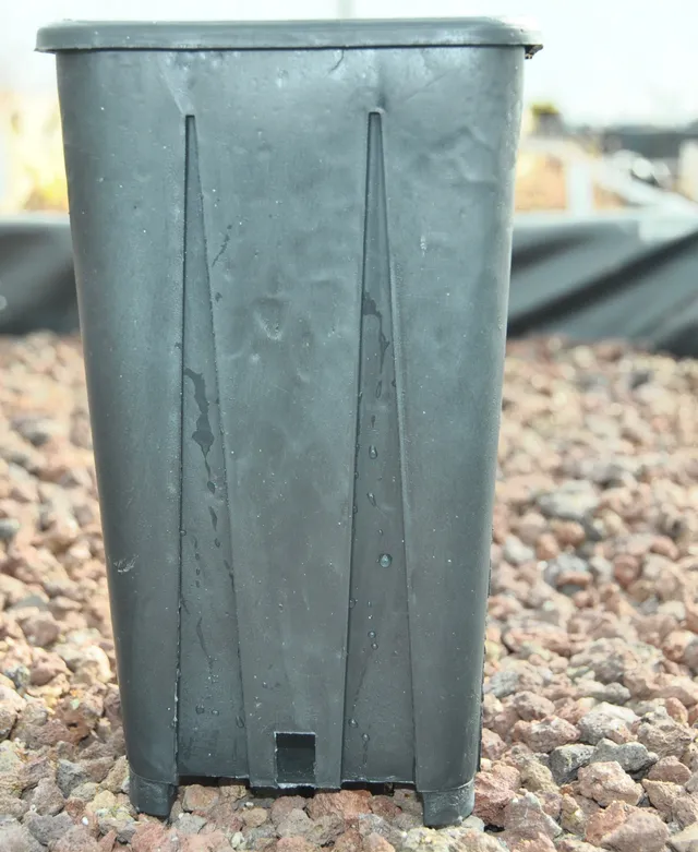 Carniflore Tout pour cultiver pots hauts 11x11x20cm lot 5 pots