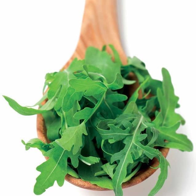 Bakker Roquette cultivée Bio graines sachet 3g salade