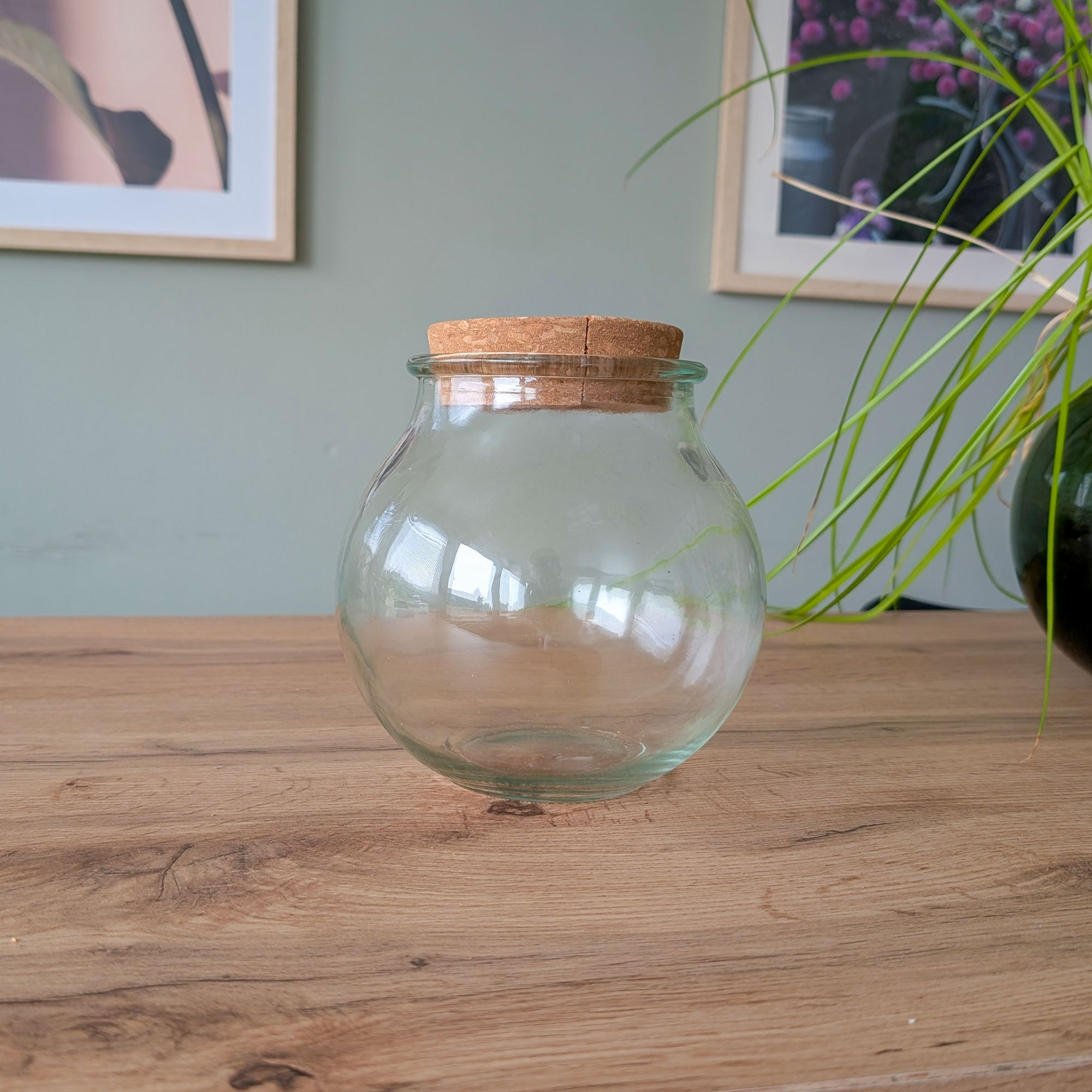 Bakker Hydro Ampoule vase hydroponique verre 15cm intérieur