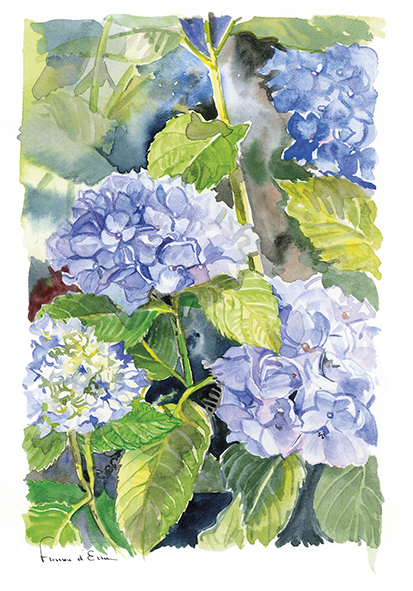 10 cartes postales botaniques A6 jardins fleurs