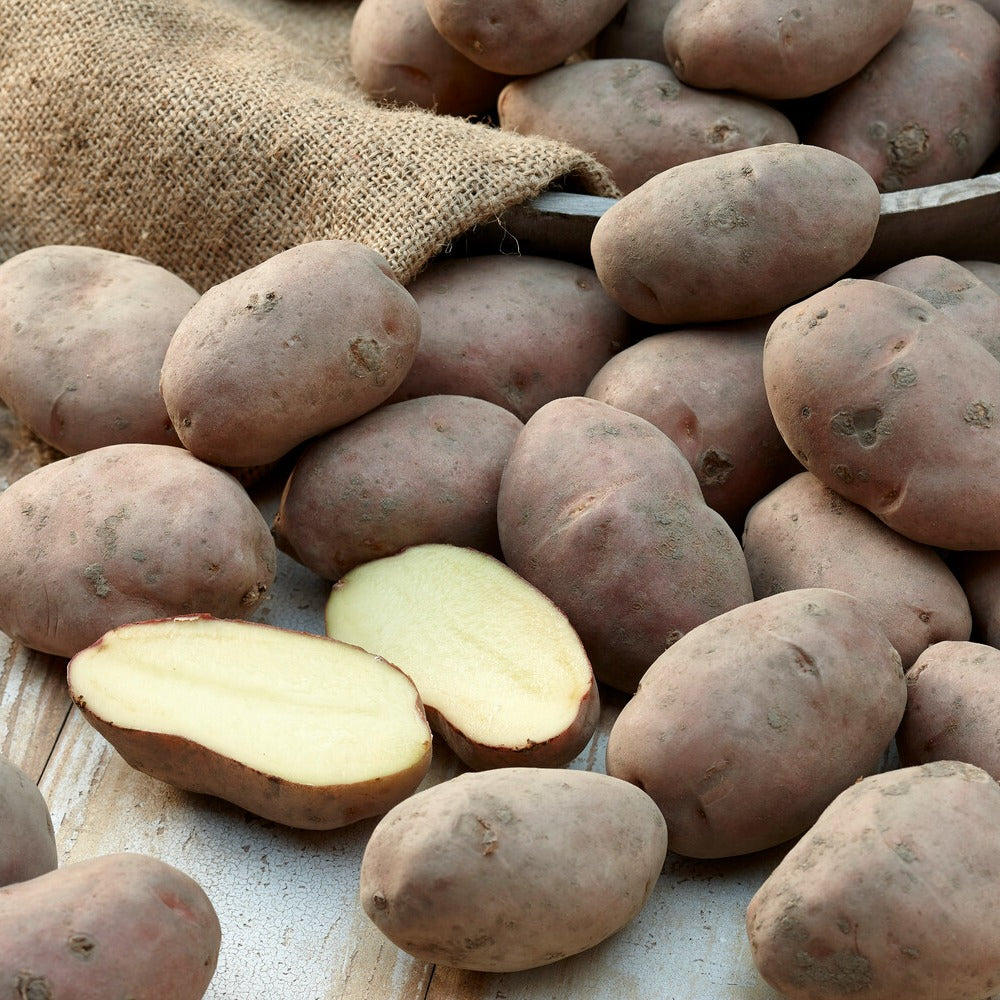 Bakker Pomme de terre Désirée sachet 1500g chair jaune
