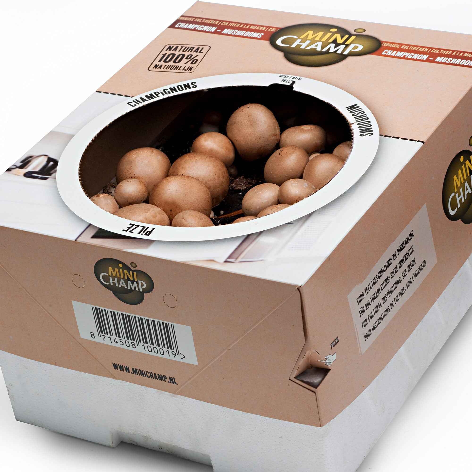 Bakker Kit champignons brun de Paris 7,5 L récolte 3 semaines