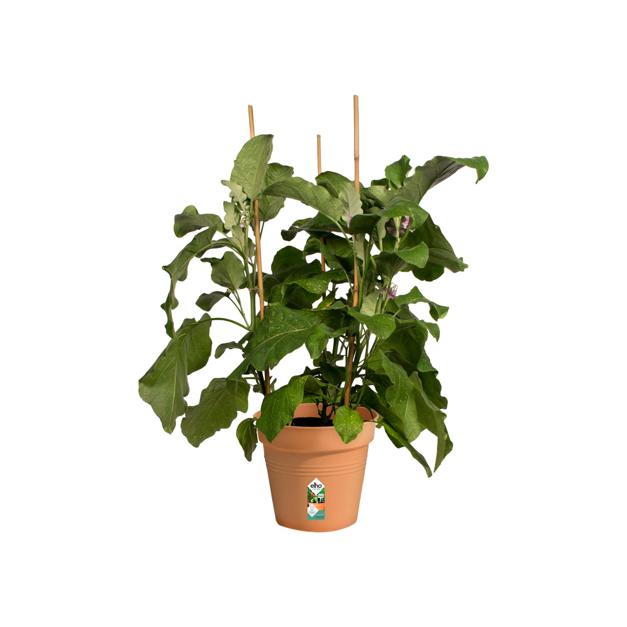 Green Basics Pot de culture terre cuite rond Ø 27 cm plastique