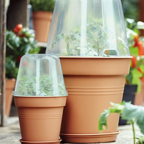 Elho pot orchidée transparent Ø17cm intérieur