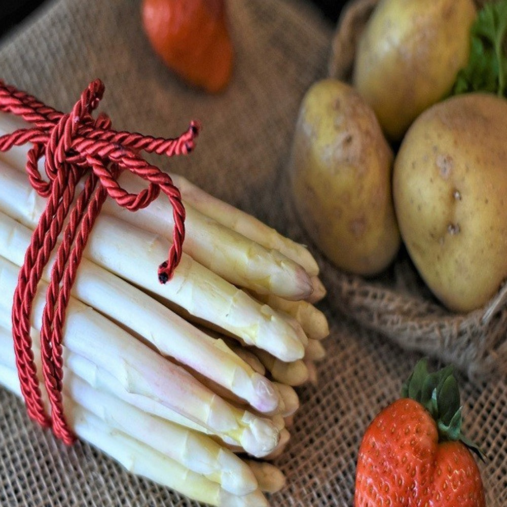 Bakker Potager Asperges Argenteuil 10 griffes 2 ans chair tendre