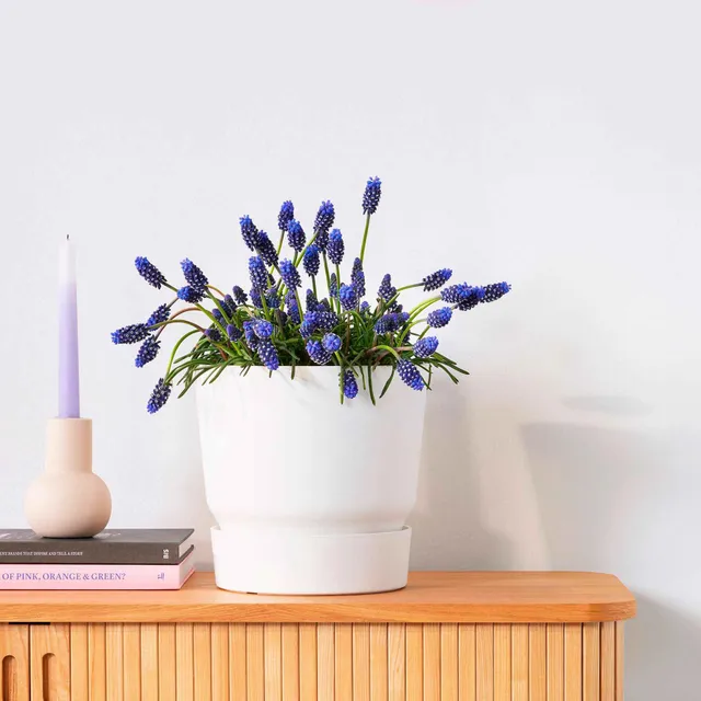 Bakker Elho Greenville pot fleurs blanc Ø 30 cm