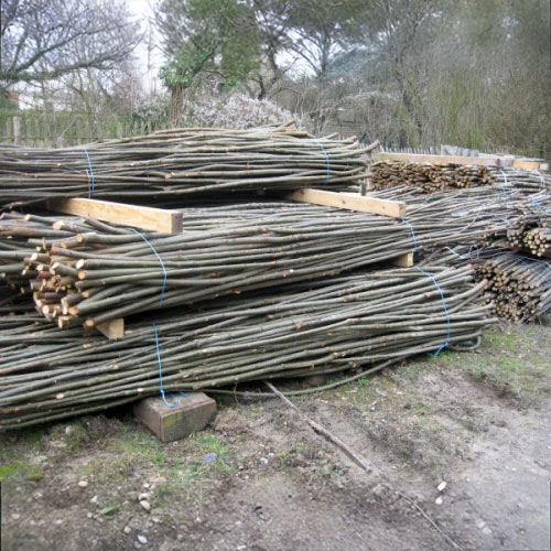 Ets Leneindre Gaulettes châtaignier gaulette bois 2 m x 25