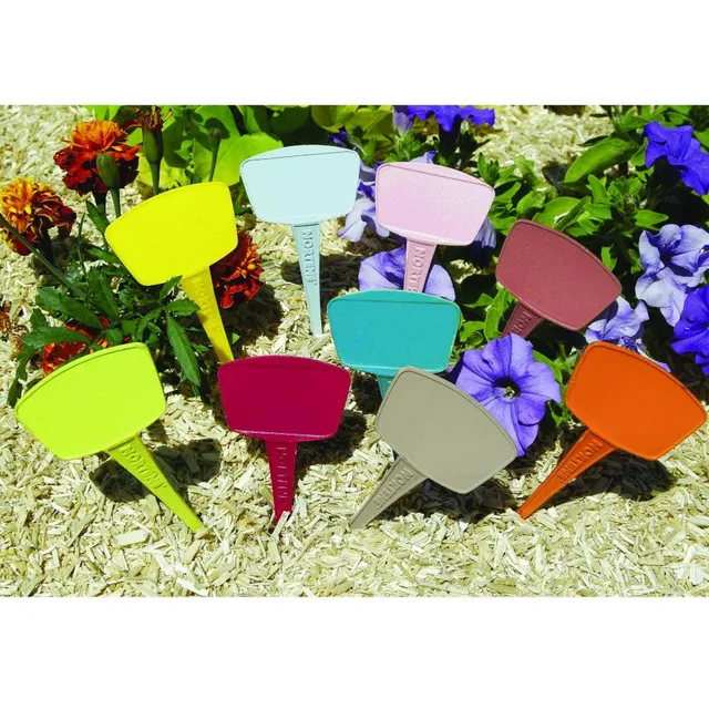 Bakker Plantes d'extérieur Étiquettes à planter pastels Lot de 16