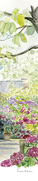 Promenade petit jardin hortensias marque page botanique Haut Bois