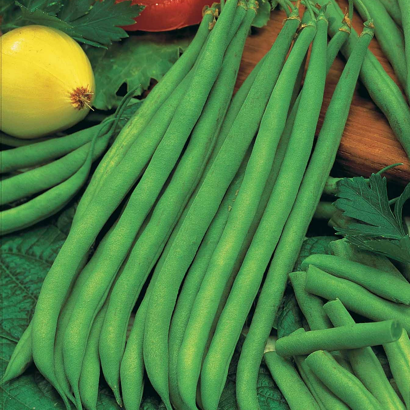 Bakker Potager et Graines Haricot Princesse graines 100g vert