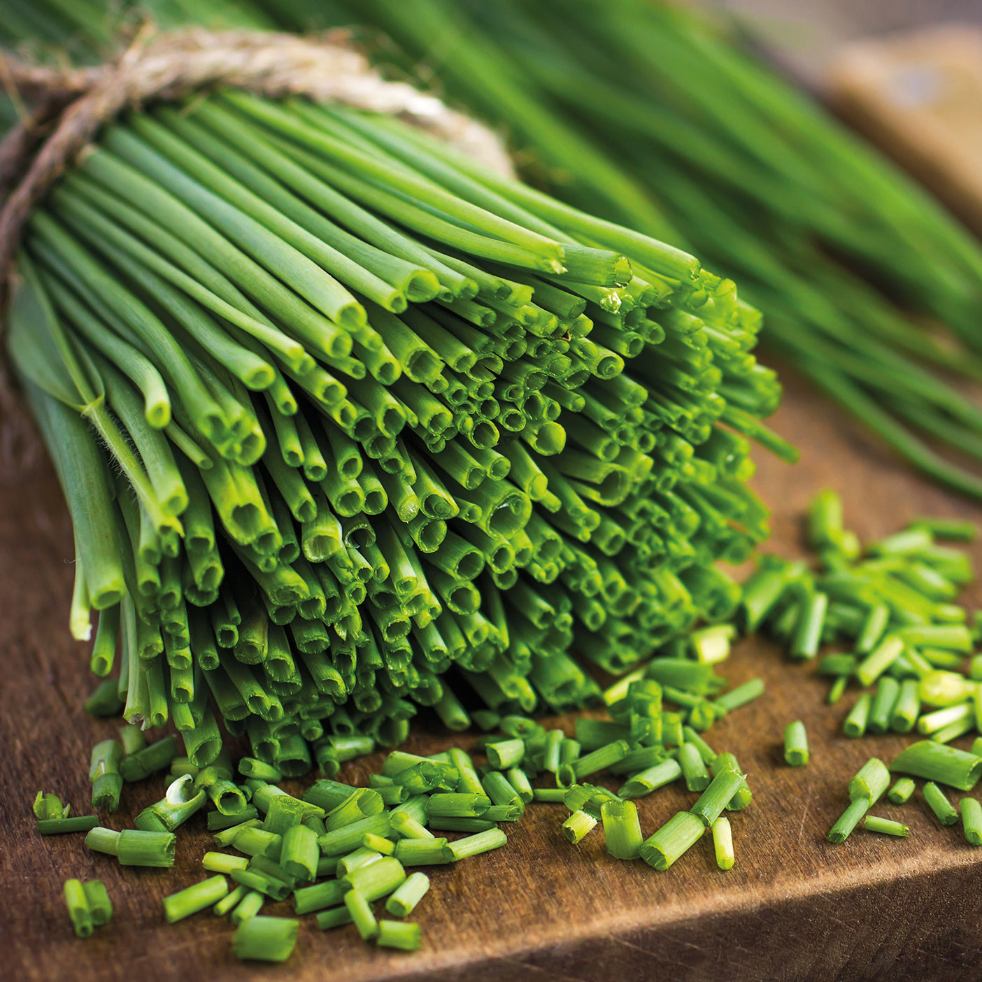 Bakker Collection fines herbes graines 4 sachets persil basilic