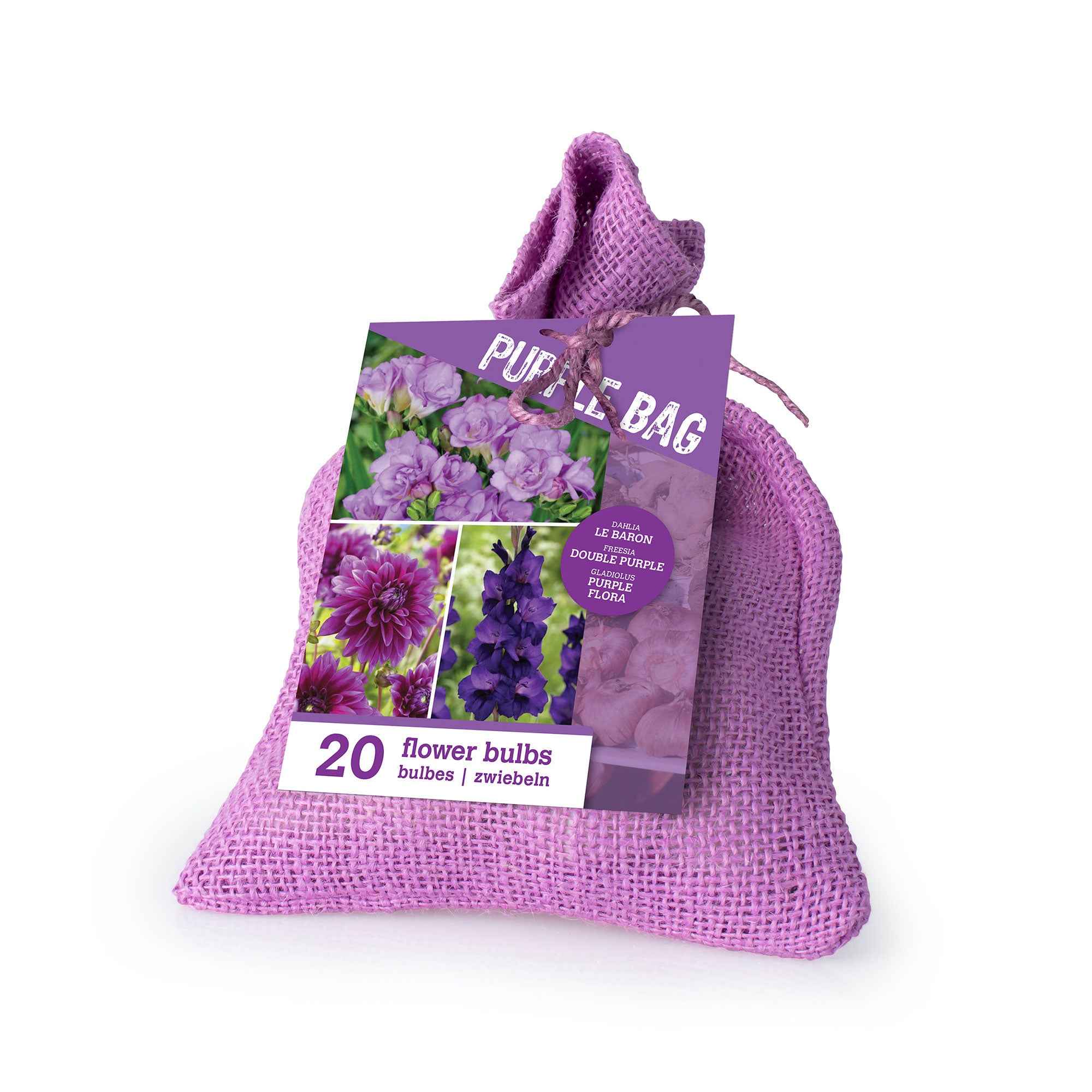 Bakker The Purple Bag 20 bulbes fleurs sachet violet