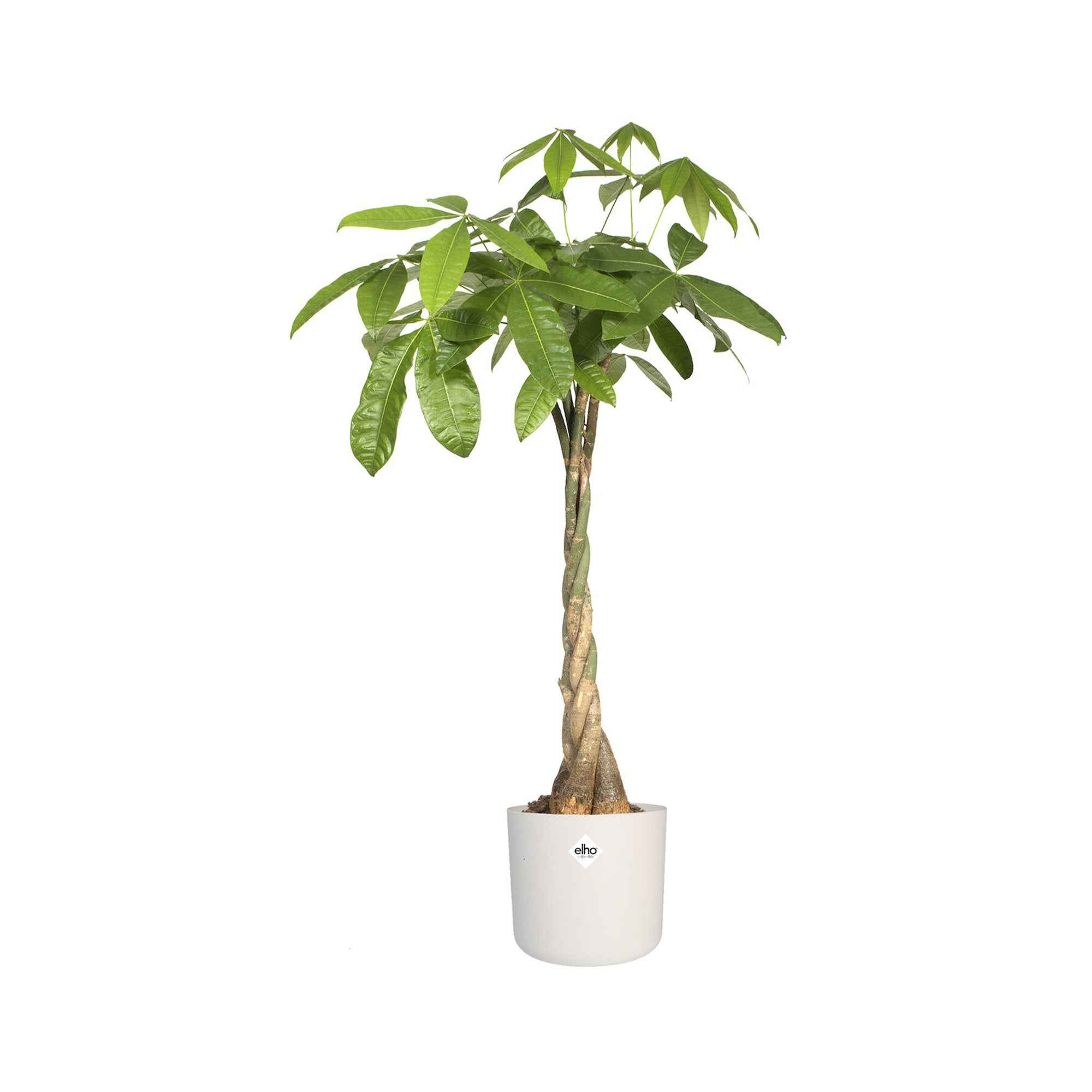 Elho B.for Soft cache-pot rond blanc Ø14 cm intérieur