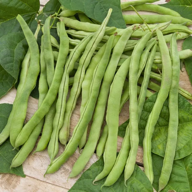 Bakker Potager Haricot à rames Neckarkönigin sachet 60g sans fil