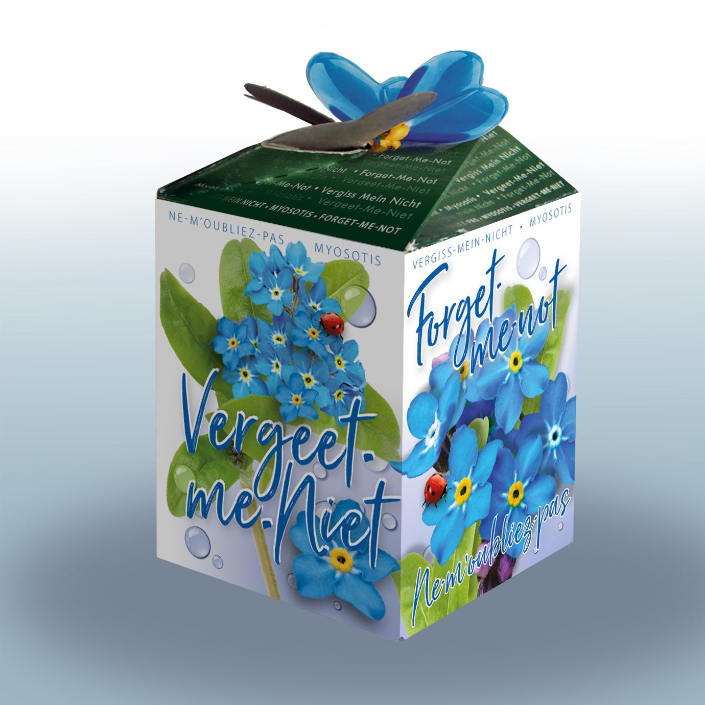 Bakker Myosotis Ne-m'oubliez-pas sylvatica kit fleurs bleues