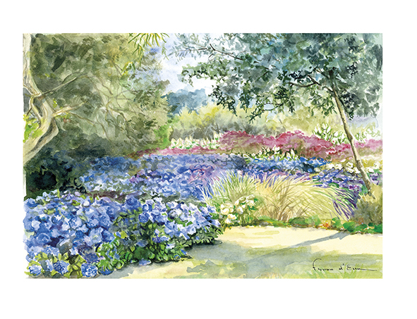 Au champ d'hortensias carte postale A5 jardin fleuri