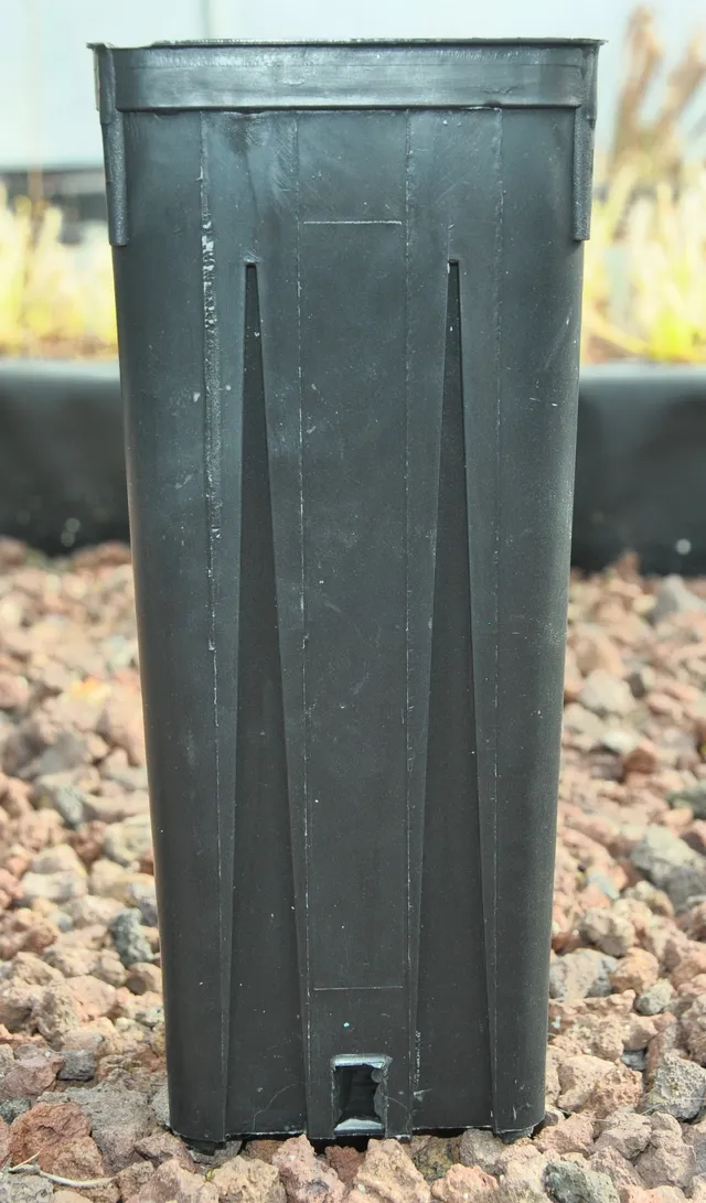 Carniflore Tout pour cultiver pots hauts 9x9x20cm pot 5 pots noir