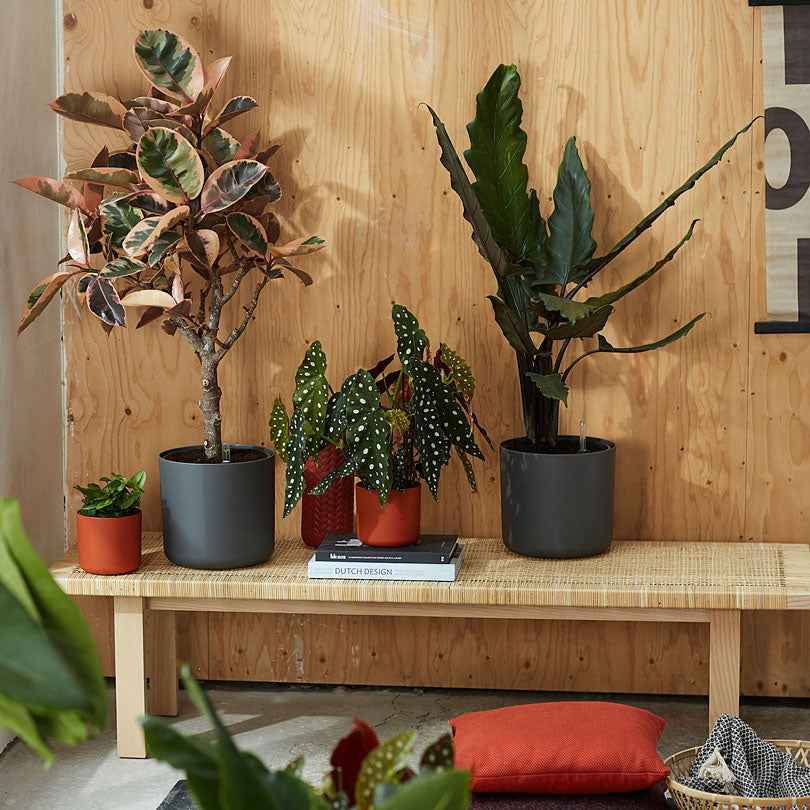 Elho B.for Soft pot rond cache-pot Ø14cm anthracite