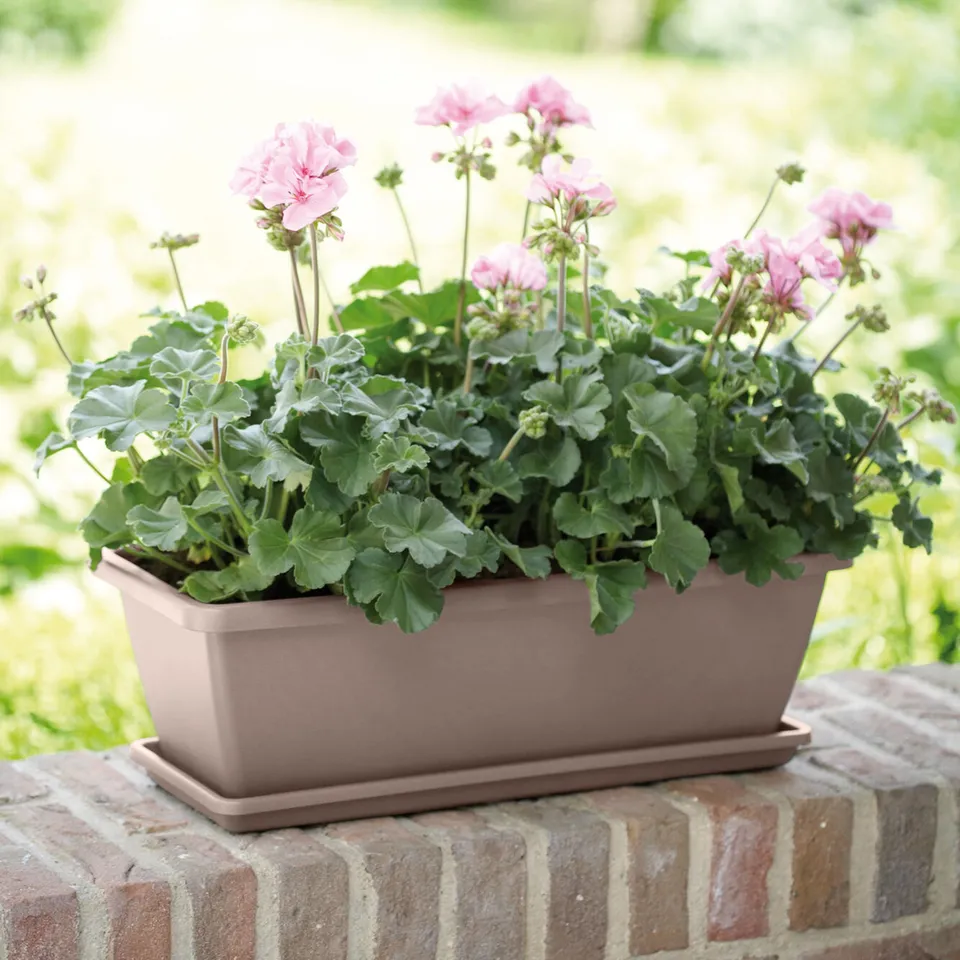 Bakker Barcelona Jardinière taupe 40cm plastique rectangulaire