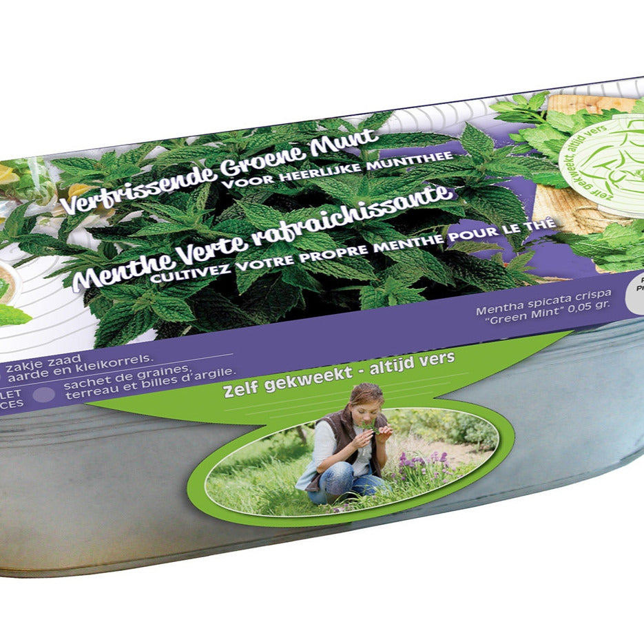 Bakker Menthe crépue graines + jardinière zinc
