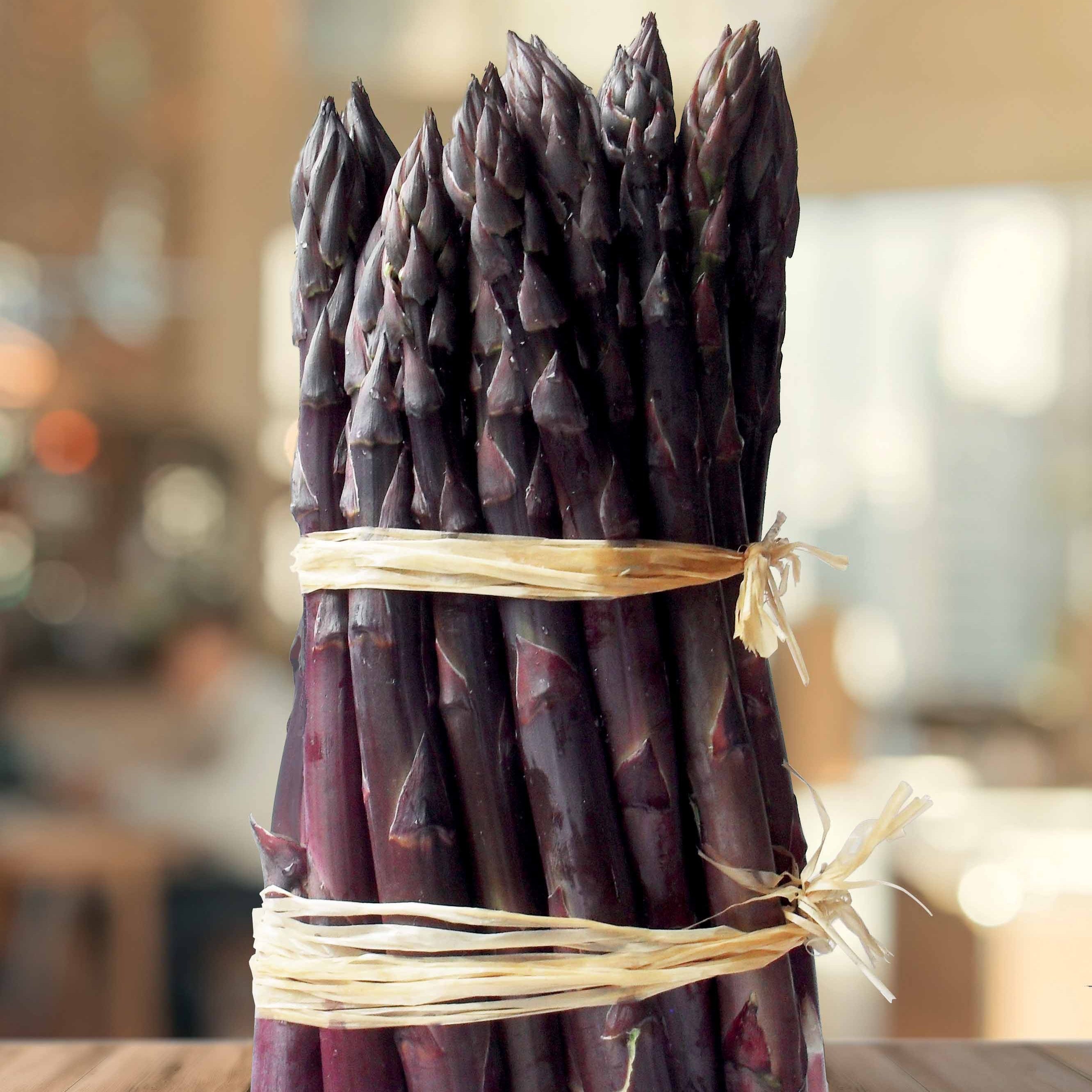 Bakker Potager Asperge rouge Rosalie paquet 20 griffes