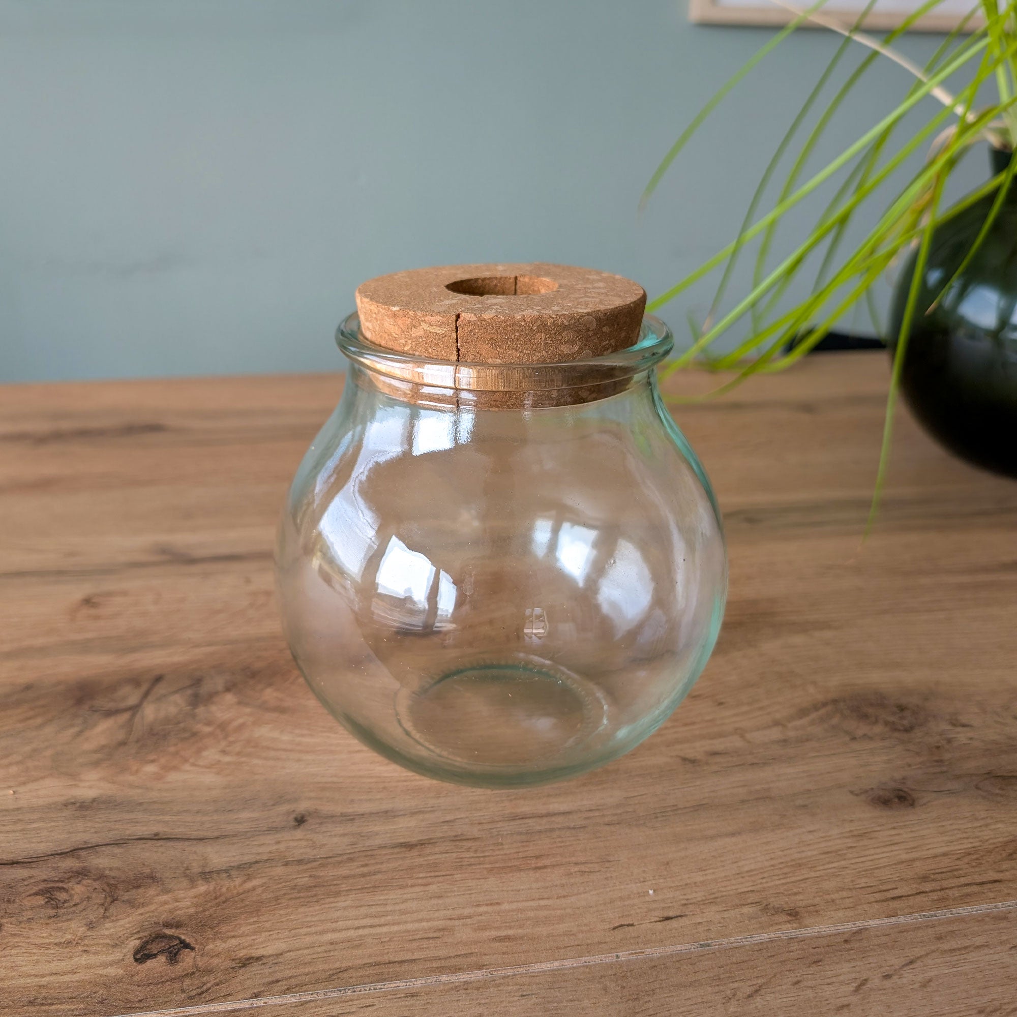 Bakker Hydro Ampoule vase hydroponique verre 15cm intérieur