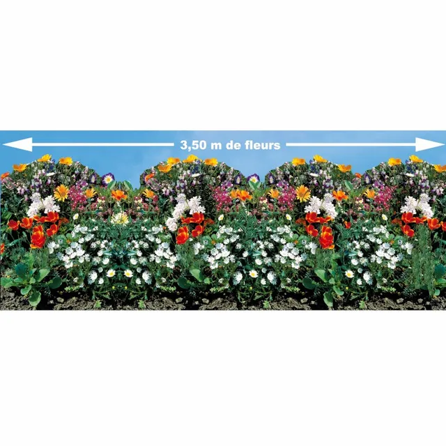 Bakker Tapis de graines bordures fleuries 350x21cm mélange