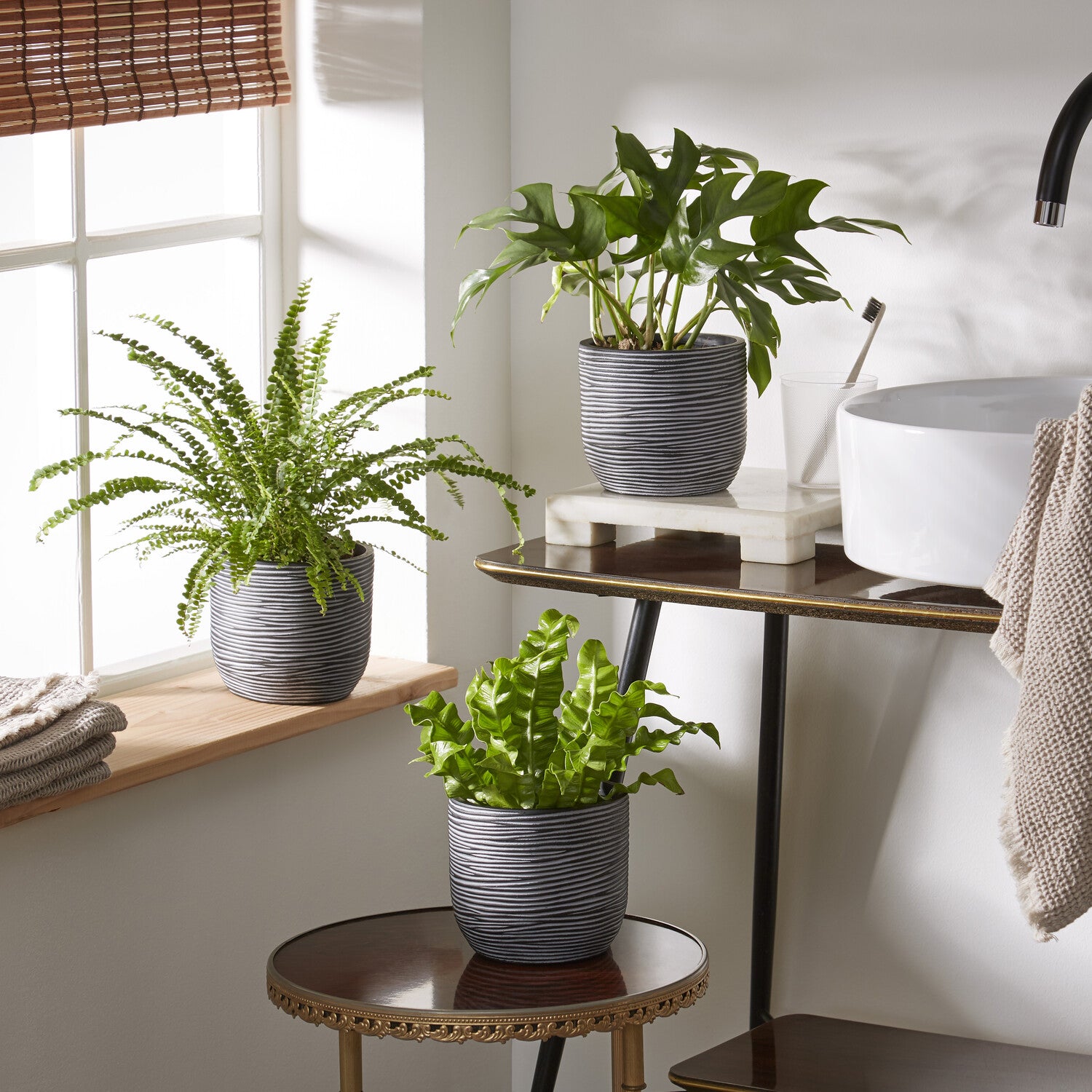 Bakker Intérieur Trio salle de bain 3 pots 12cm humidité