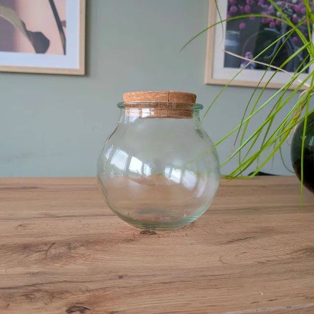 Bakker Hydro Ampoule vase hydroponique verre 15cm intérieur