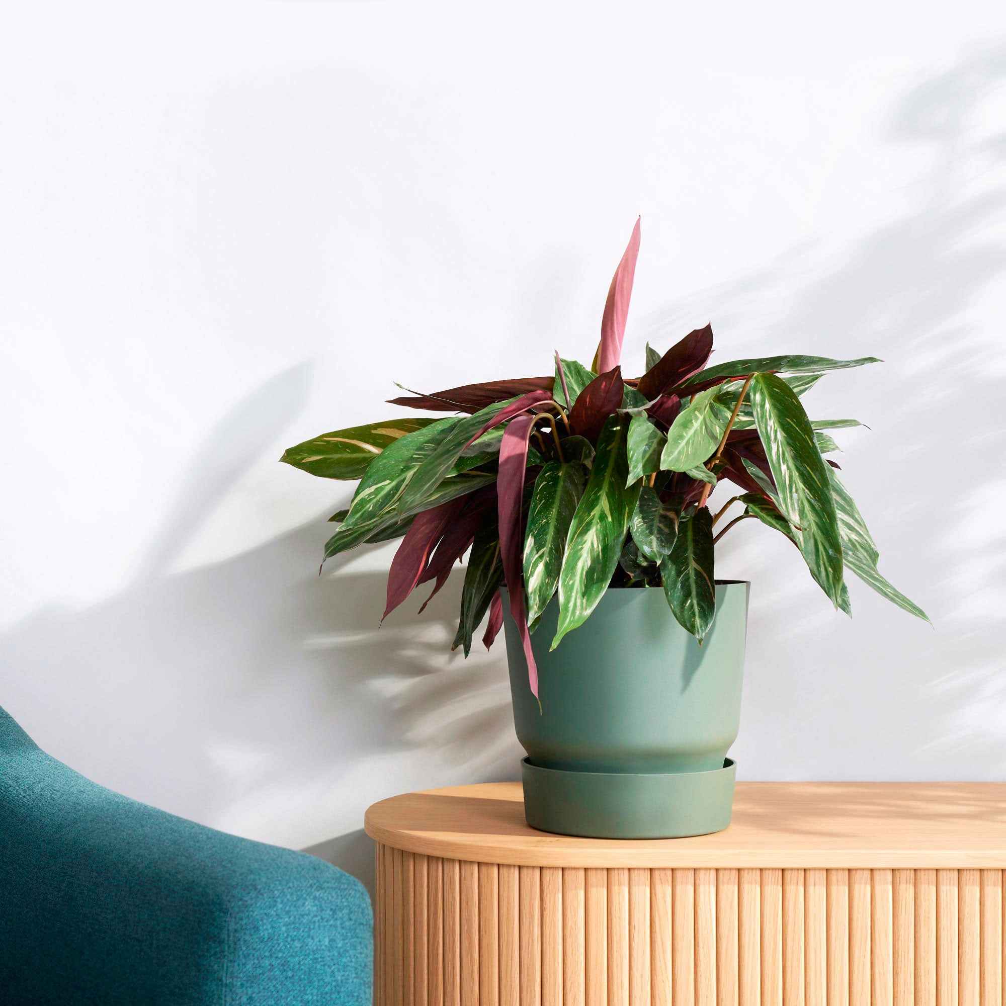 Bakker Greenville pot de fleurs vert Ø 30 cm plastique