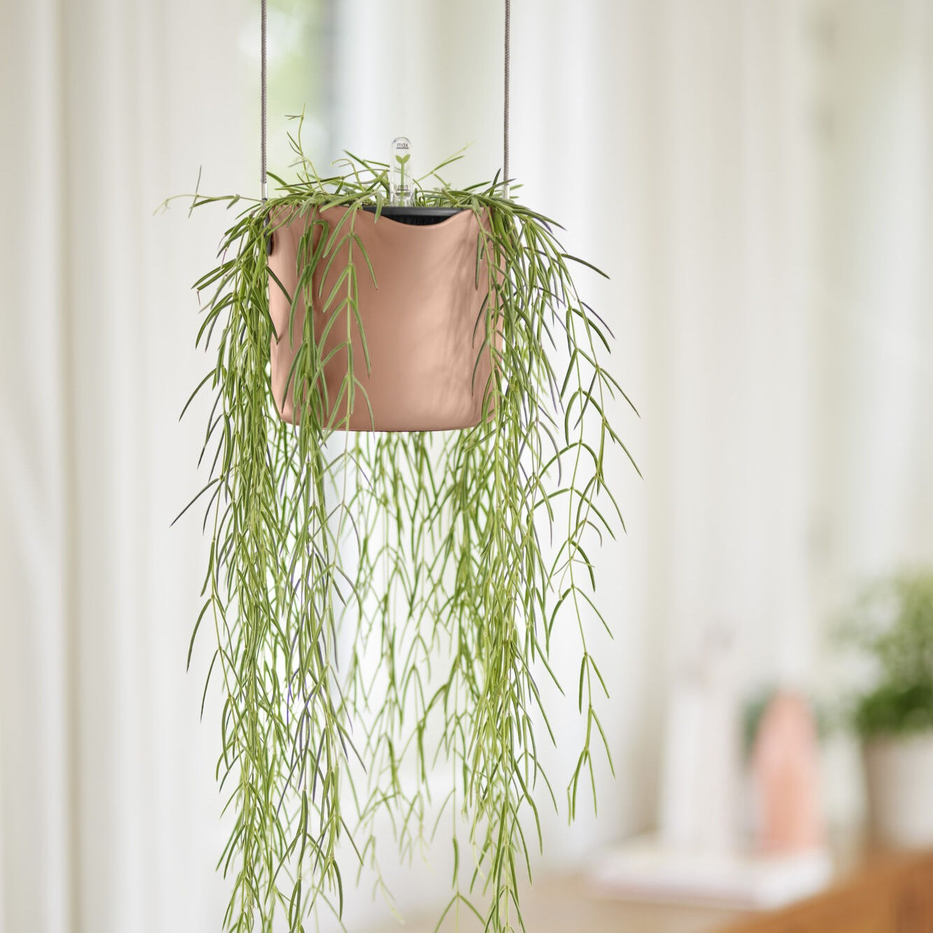 Elho B for Swing pot suspendu rose Ø 18 cm