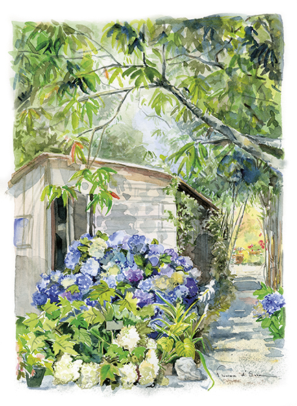 Les Hortensias du Haut Bois cabane petit jardin carte postale A5
