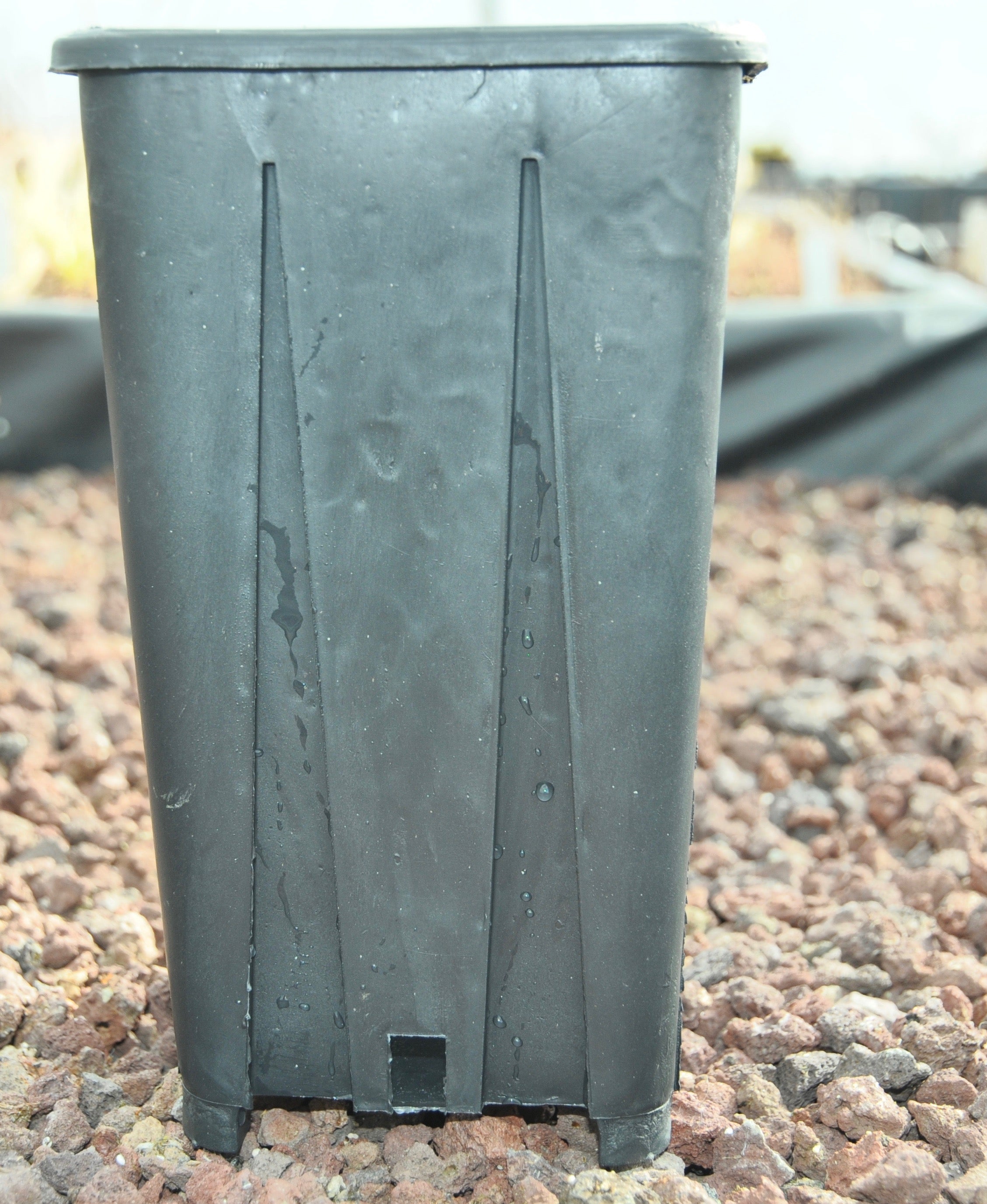 Carniflore Tout pour cultiver pots hauts 11x11x20cm lot 5 pots