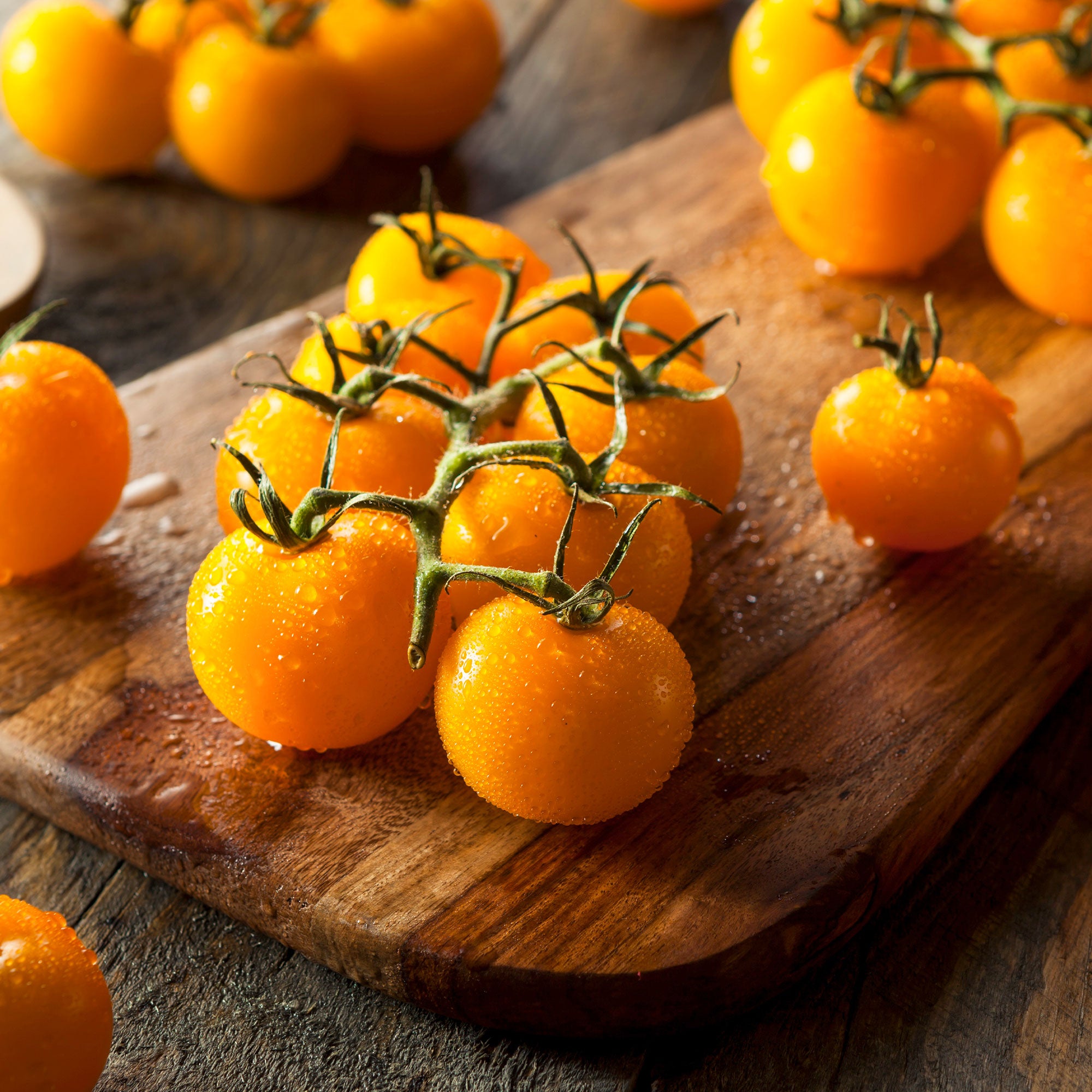 Bakker Raisins Jaunes tomate cocktail 0,1g ±30 graines