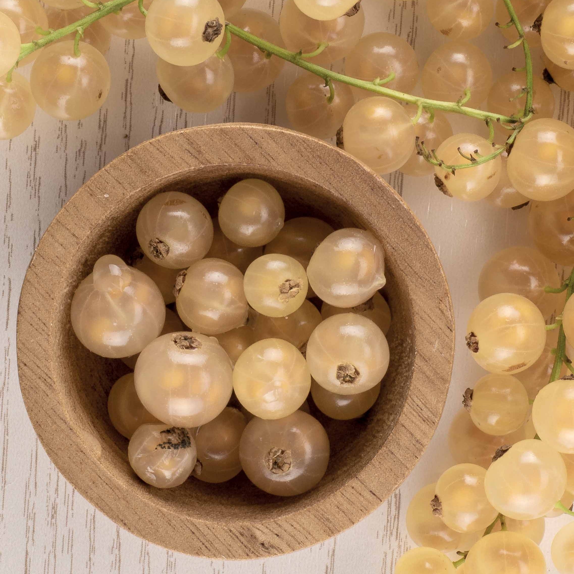 Bakker Groseillier White Pearl fruitier pot 2L 50-60cm blanc