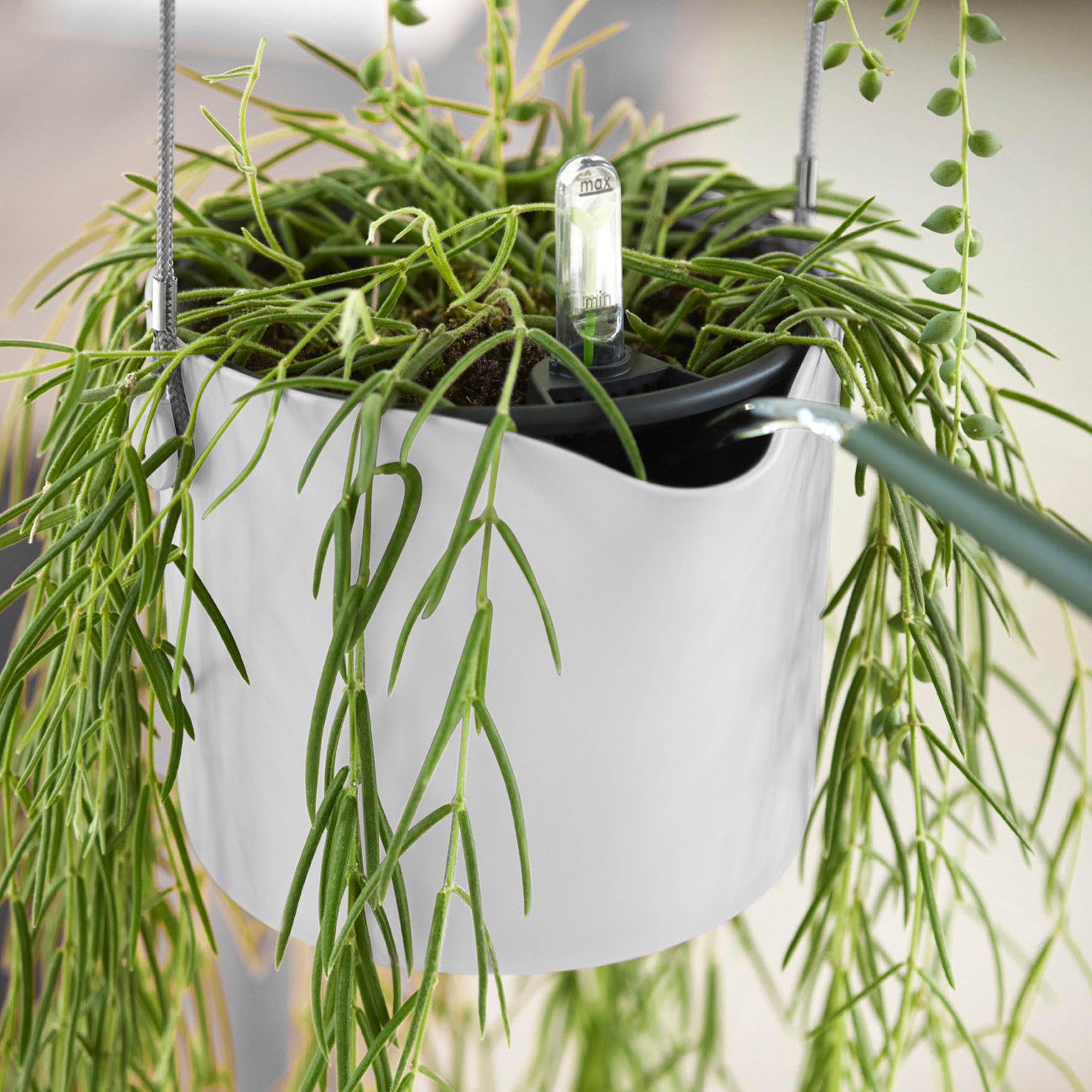 Elho B for Swing suspension blanc pot 18cm