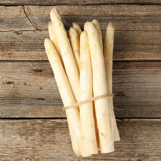 Bakker Potager Asperges Argenteuil 10 griffes 2 ans chair tendre