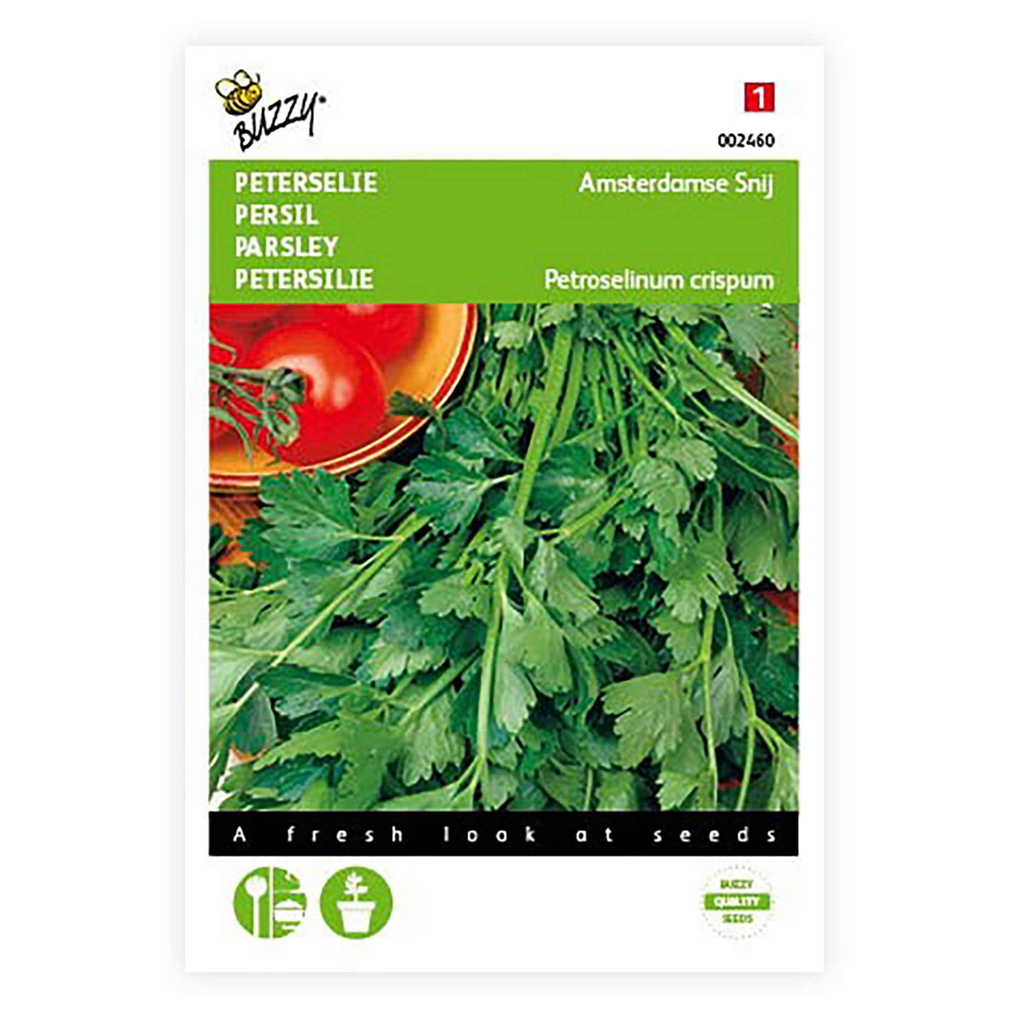 Bakker Persil plat Amsterdam sachet 4g ±2200 graines comestible