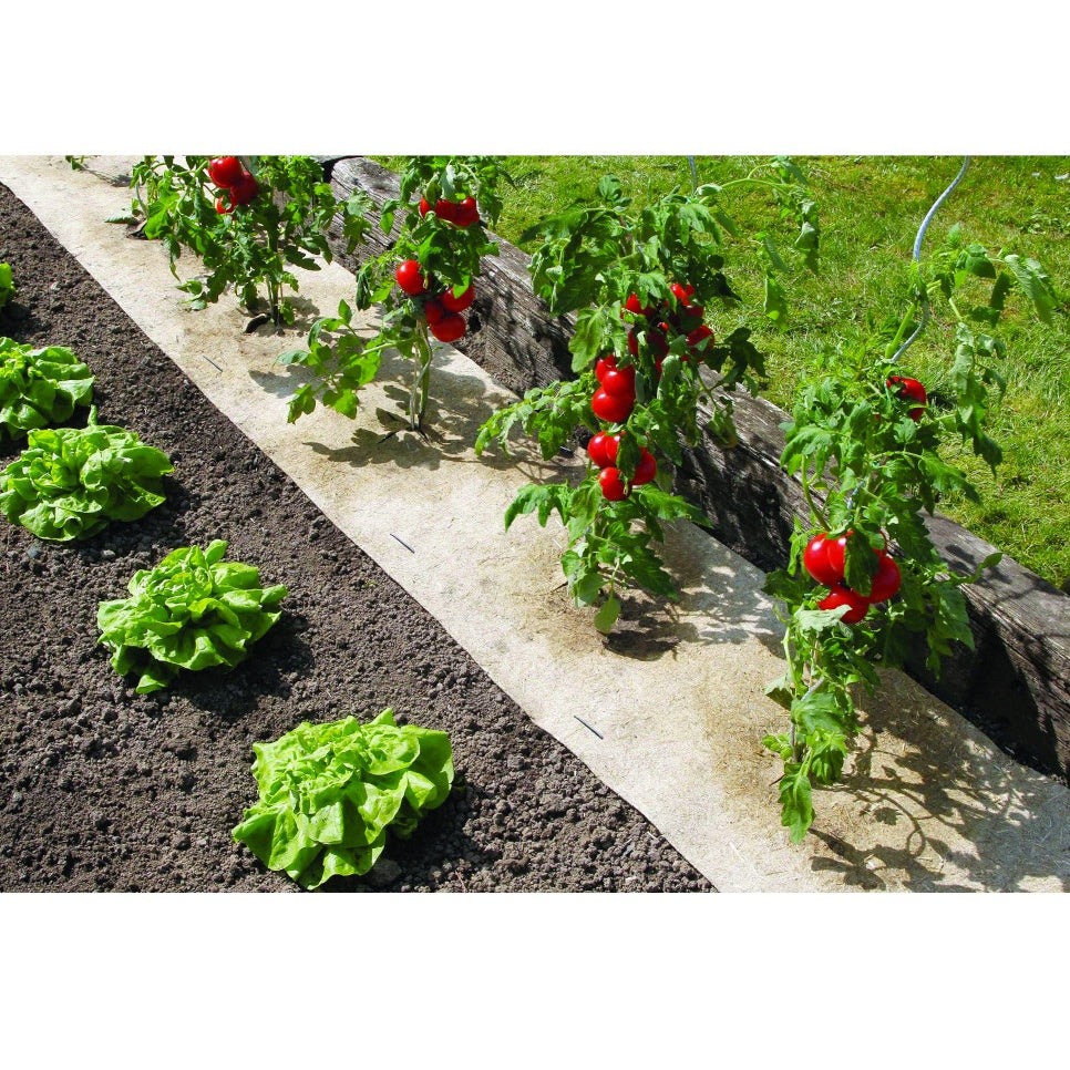 Bakker Toile de paillage chanvrelin biodégradable 300x50cm